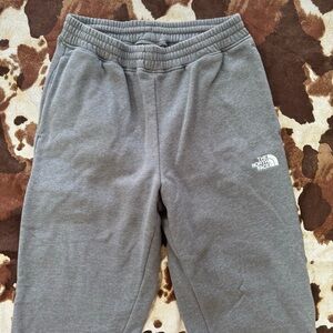 The North Face Gray Joggers